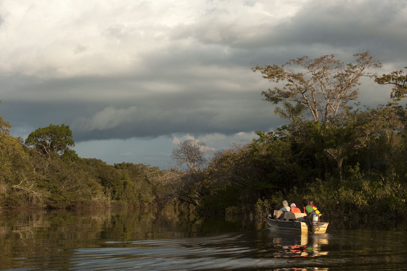 When visiting Guyana don't miss out on birdwatching on one of the many rivers